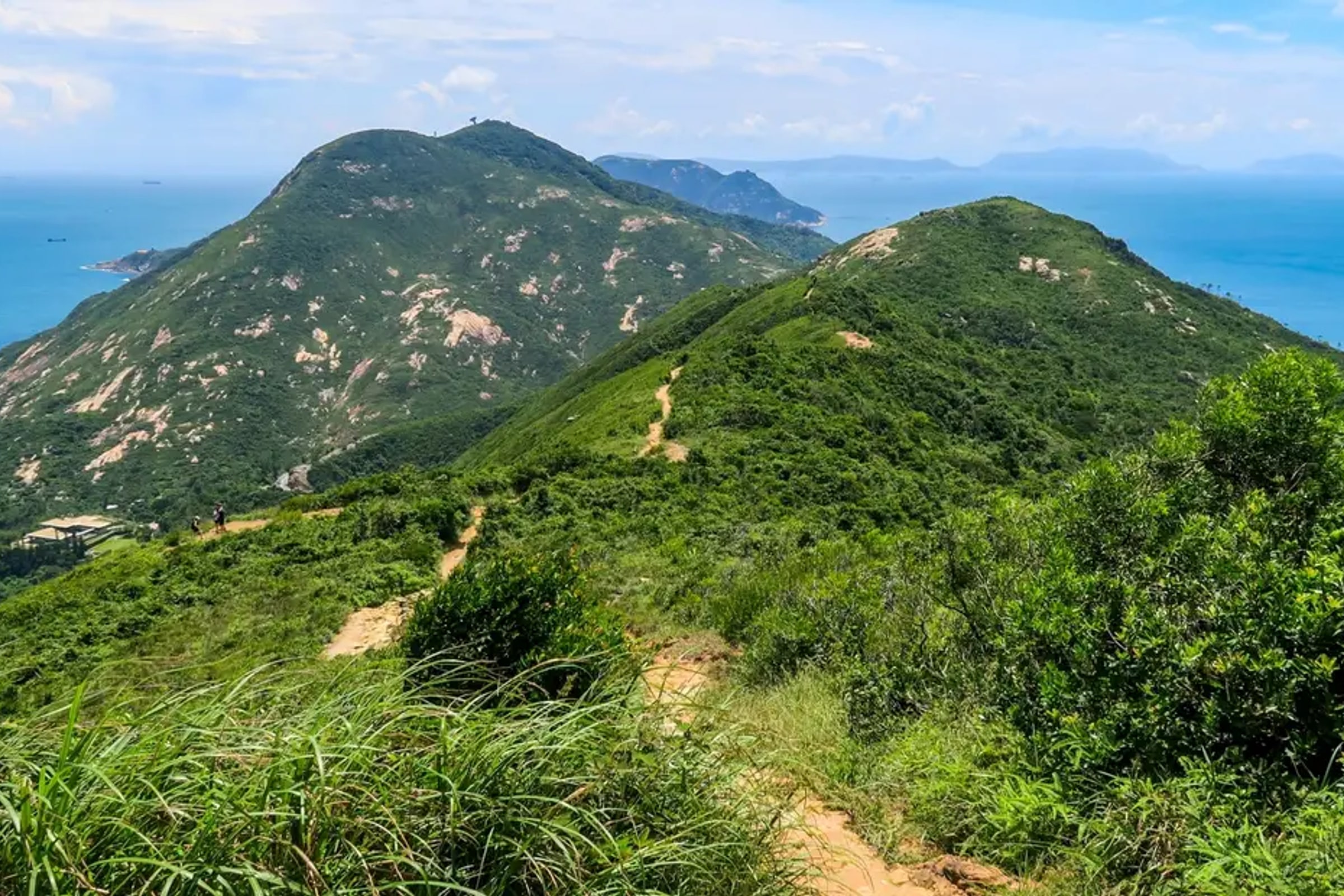 Private Tour: Customized 4-Hour Hong Kong City Tour
